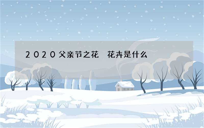 2020父亲节之花 花卉是什么